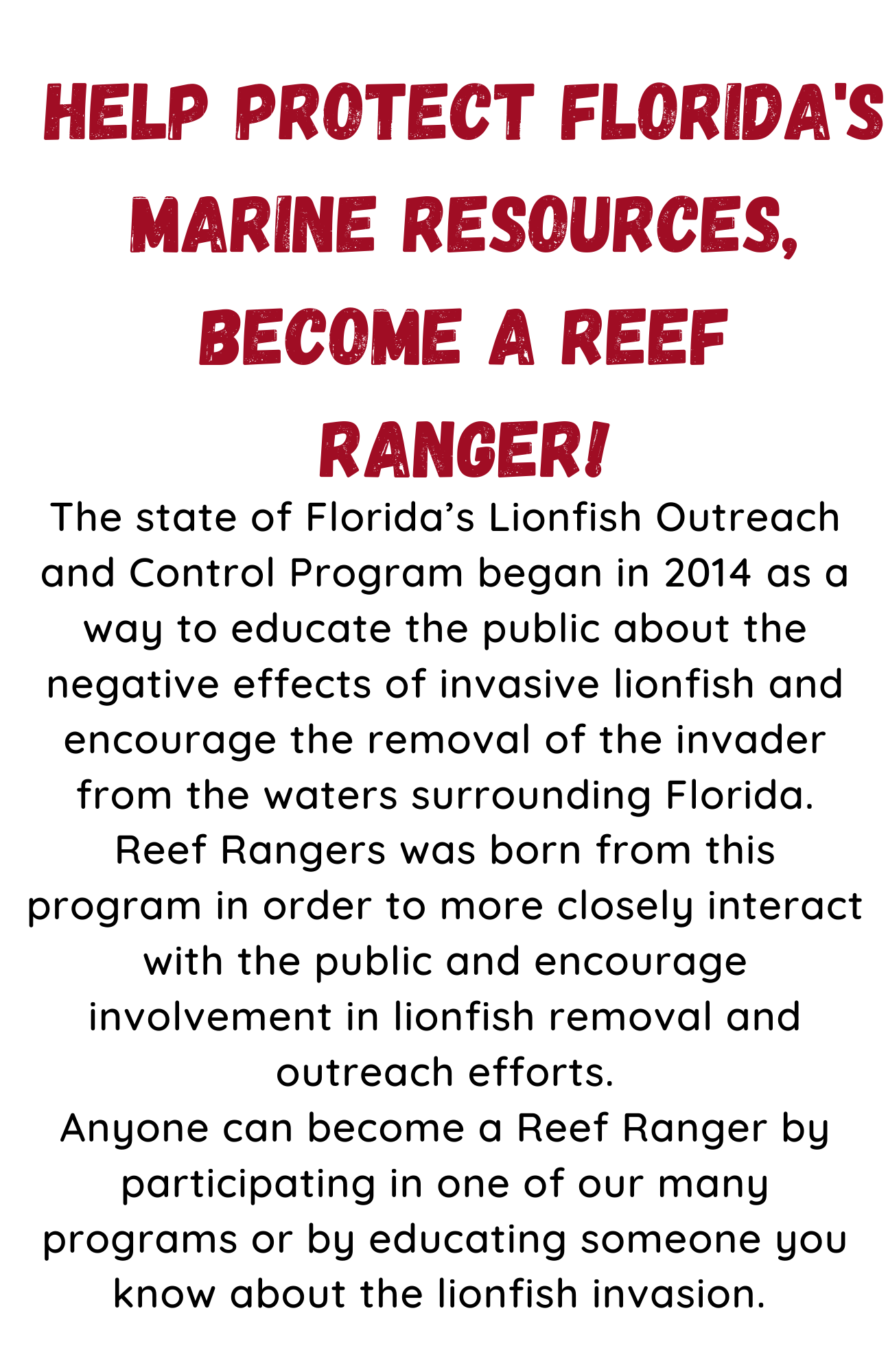 Help Protect Florida's Marine Resources, Become a Reef Ranger! The state of Florida’s Lionfish Outreach and Control Program began in 2014 as a way to educate the public about the negative effects of invasive lionfish and encourage the removal of the invader from the waters surrounding Florida. Reef Rangers was born from this program in order to more closely interact with the public and encourage involvement in lionfish removal and outreach efforts. Anyone can become a Reef Ranger by participating in one of our many programs or by educating someone you know about the lionfish invasion.